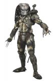 Classic Predator