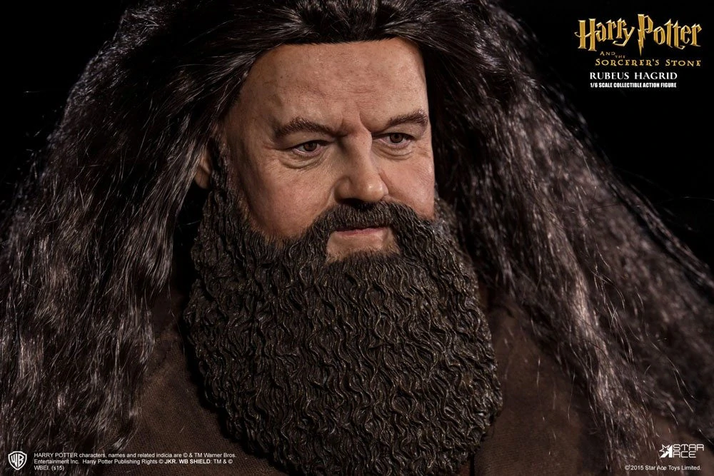 Figurka Rubeus Hagrid - Harry Potter My Favourite Movie Action Figure 1/6