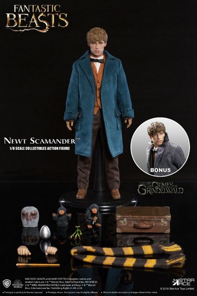Figurka Newt Scamander Grey Coat Ver. - Fantastic Beasts My Favourite Movie Action Figure 1/6