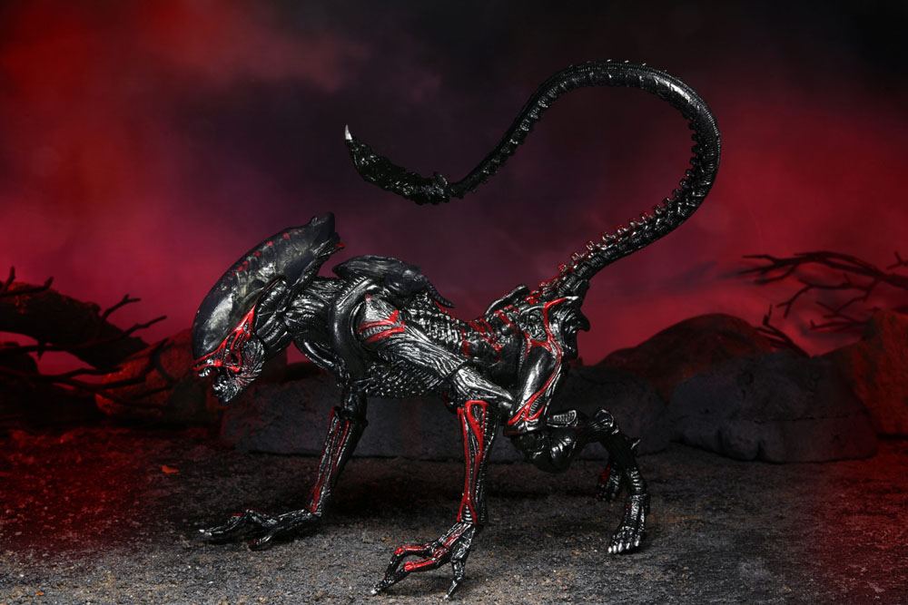 Figurka Night Cougar Alien (Kenner Tribute) - Aliens Action Figure