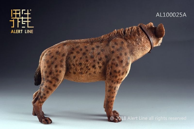 Figurka Brown Spotted Hyena 1/6 Action Figure