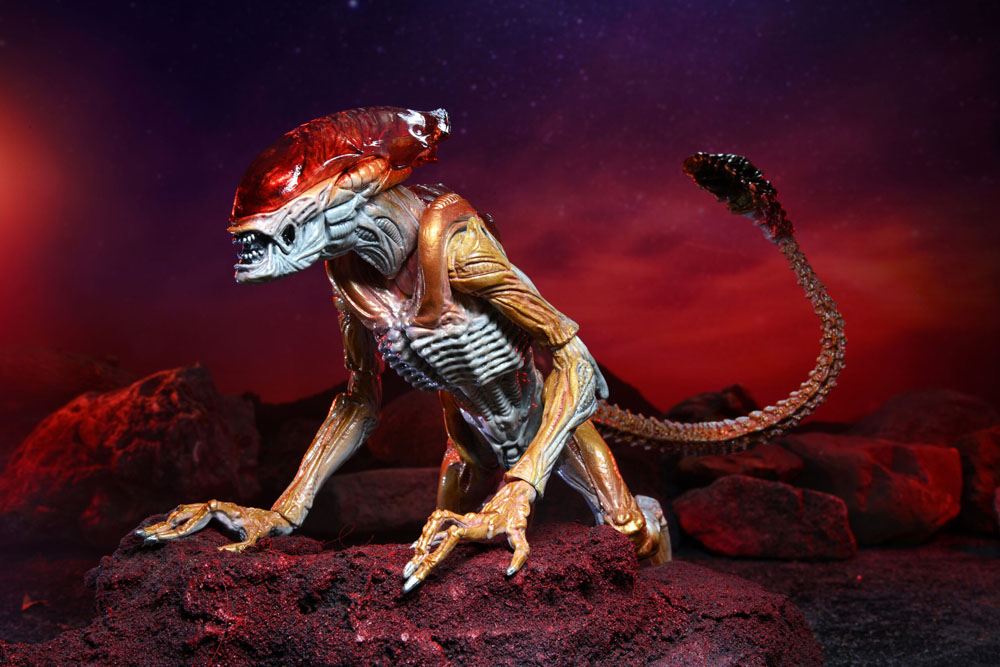 Figurka Panther Alien (Kenner Tribute) - Aliens Action Figure