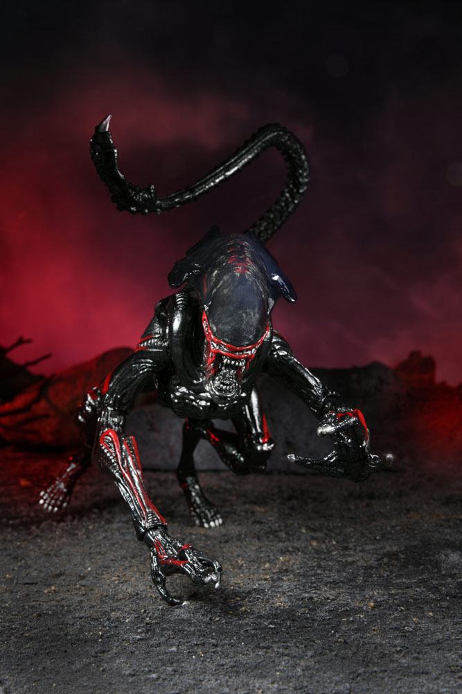 Figurka Night Cougar Alien (Kenner Tribute) - Aliens Action Figure