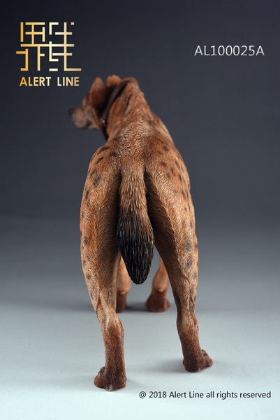 Figurka Brown Spotted Hyena 1/6 Action Figure