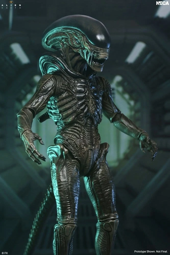 Figurka Xenomorph - Alien: Earth Ultimate Action Figure