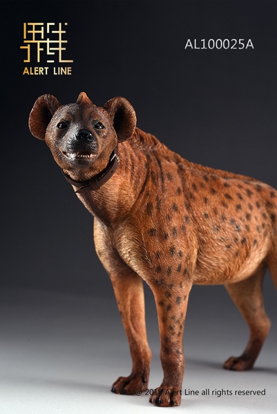 Figurka Brown Spotted Hyena 1/6 Action Figure