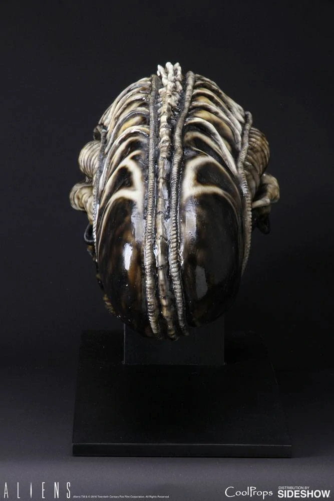 Soška Alien Warrior Head - Aliens Replica 1/1