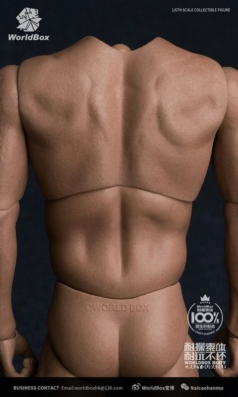 Tělo pro 1/6 figurky Caucasian Male Durable Body
