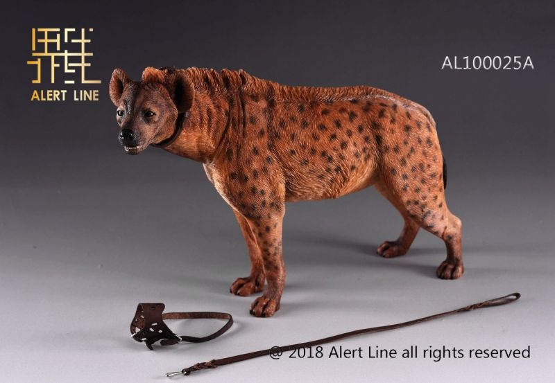 Figurka Brown Spotted Hyena 1/6 Action Figure