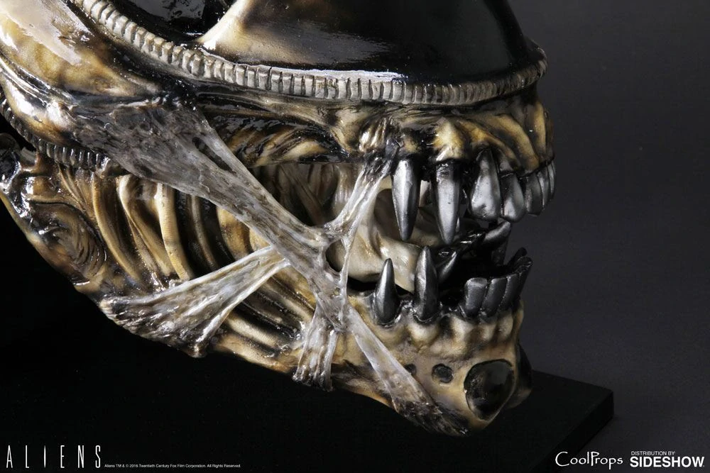 Soška Alien Warrior Head - Aliens Replica 1/1