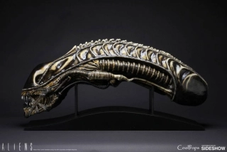 Soška Alien Warrior Head - Aliens Replica 1/1