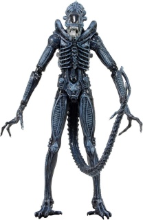 Figurka Xenomorph Warrior Blue - Aliens Action Figure
